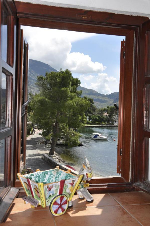 Vujosevic Kotor